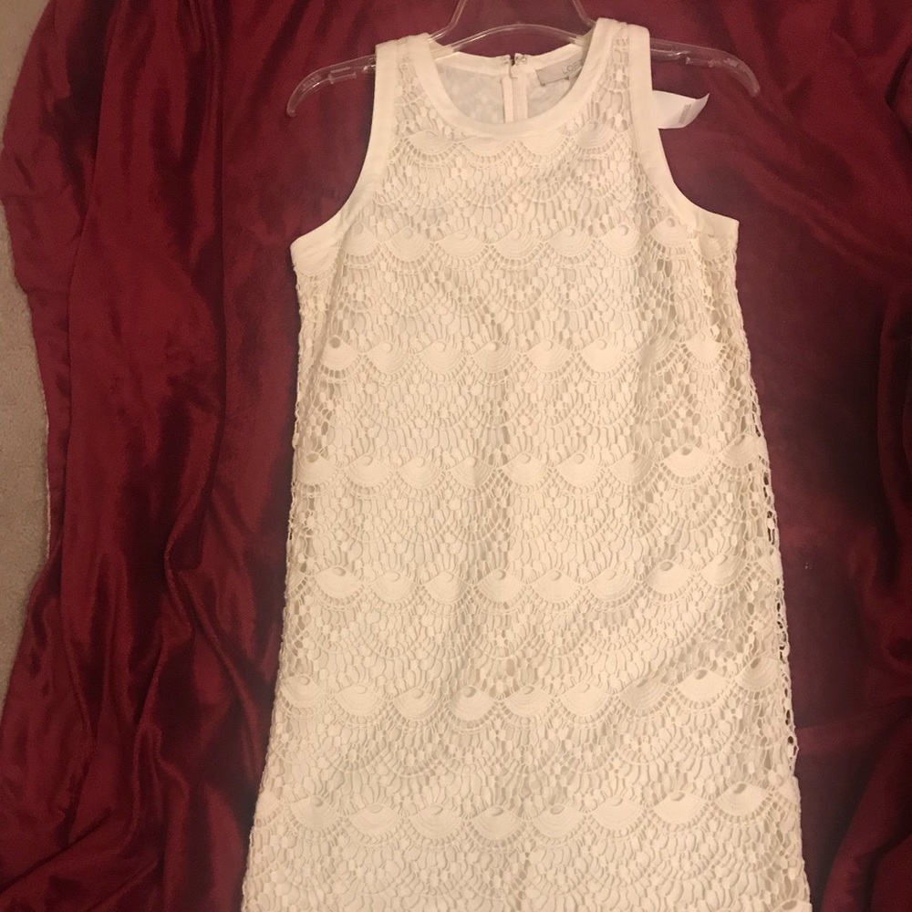 Loft Lace Scalloped Dress
